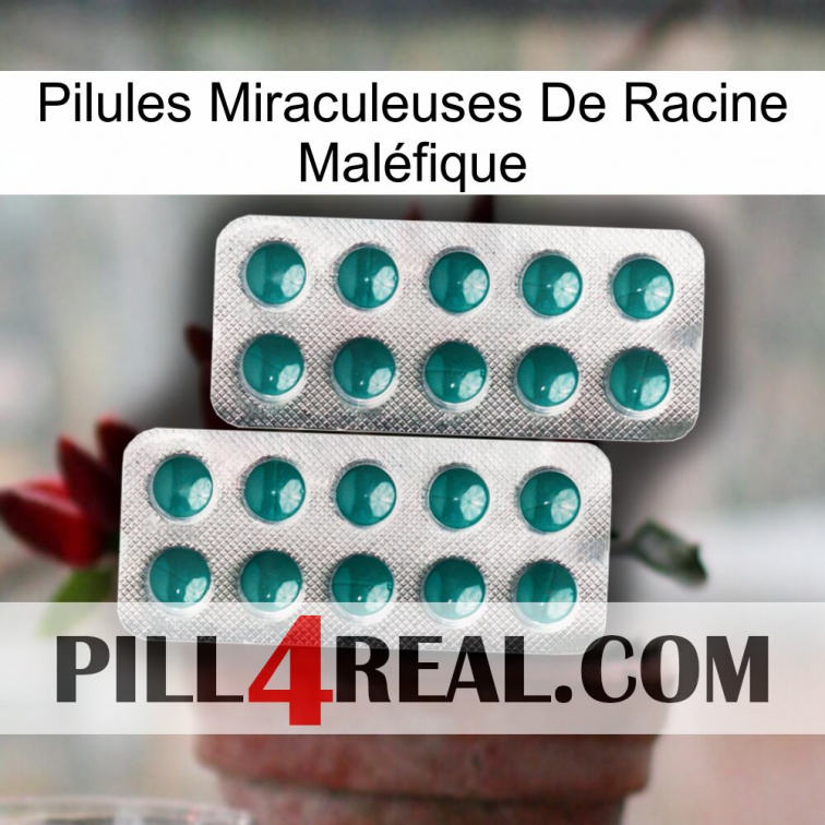 Pilules Miraculeuses De Racine Maléfique dapoxetine2